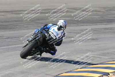 media/Feb-04-2024-SoCal Trackdays (Sun) [[91d6515b1d]]/4-Bowl Backside (11am)/